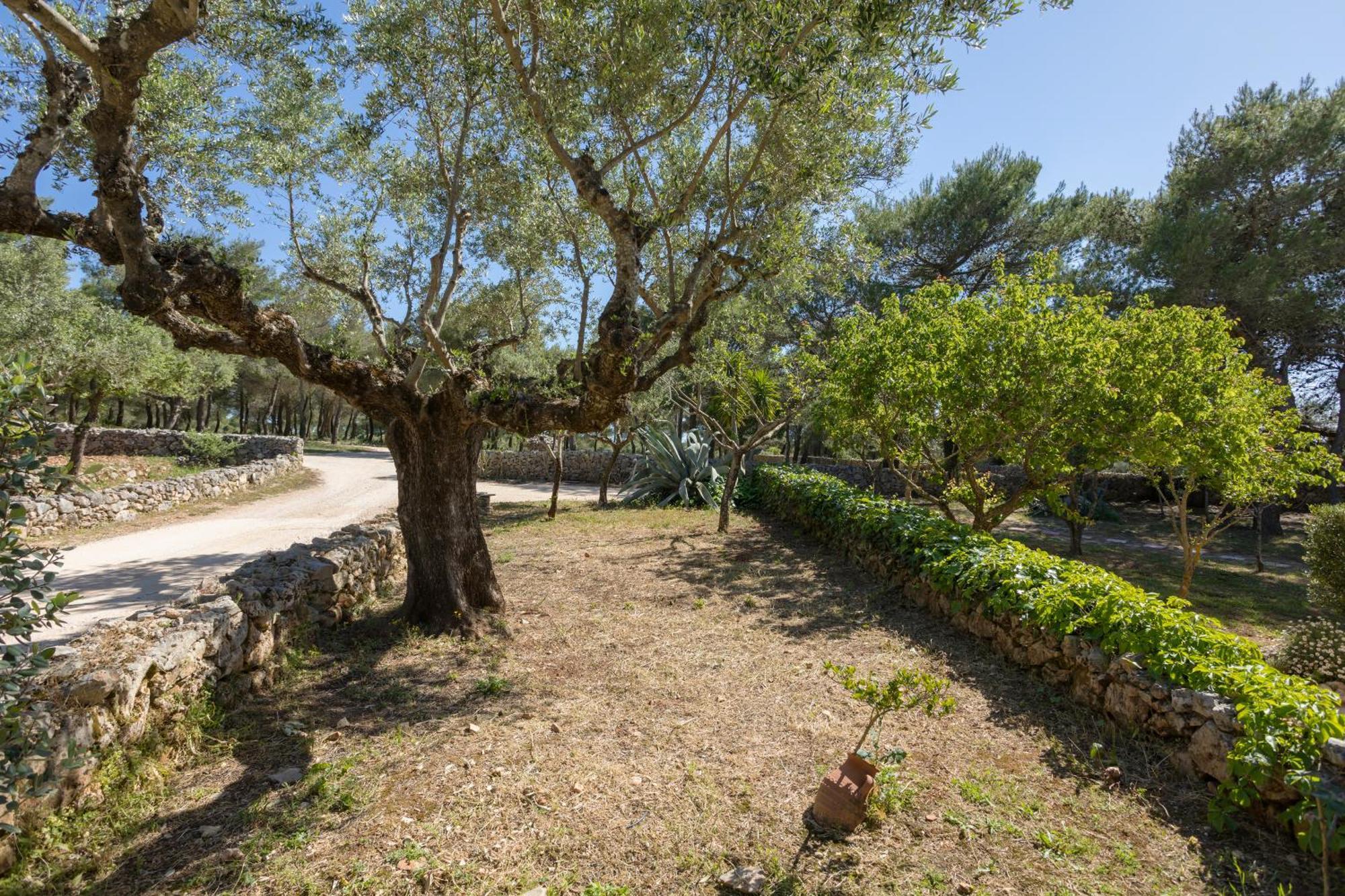 Aresti Mountain Resort Agios Leon Exterior foto